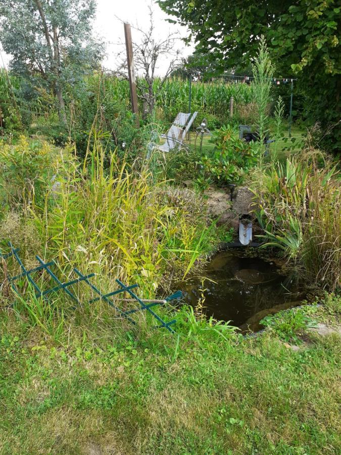 Le Gite Du Hibou Villa Ménil-Hubert-sur-Orne Eksteriør bilde